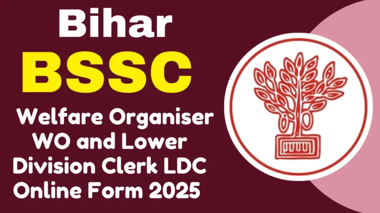 Bihar SSC BSSC Welfare Organiser WO and Lower Division Clerk LDC Online Form 2025